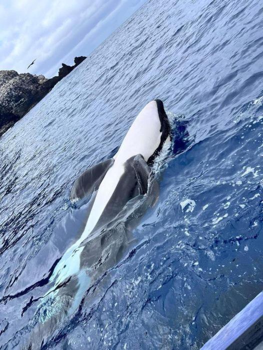 La Casa D Juan Lejlighed Puerto Baquerizo Moreno Eksteriør billede